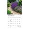 Plato; Gorgeous Gardens | 2027 7 x 14 Inch (Hanging) Monthly Mini Wall Calendar | Foil Stamped Cover; Category:Wall Calendars; Image:4